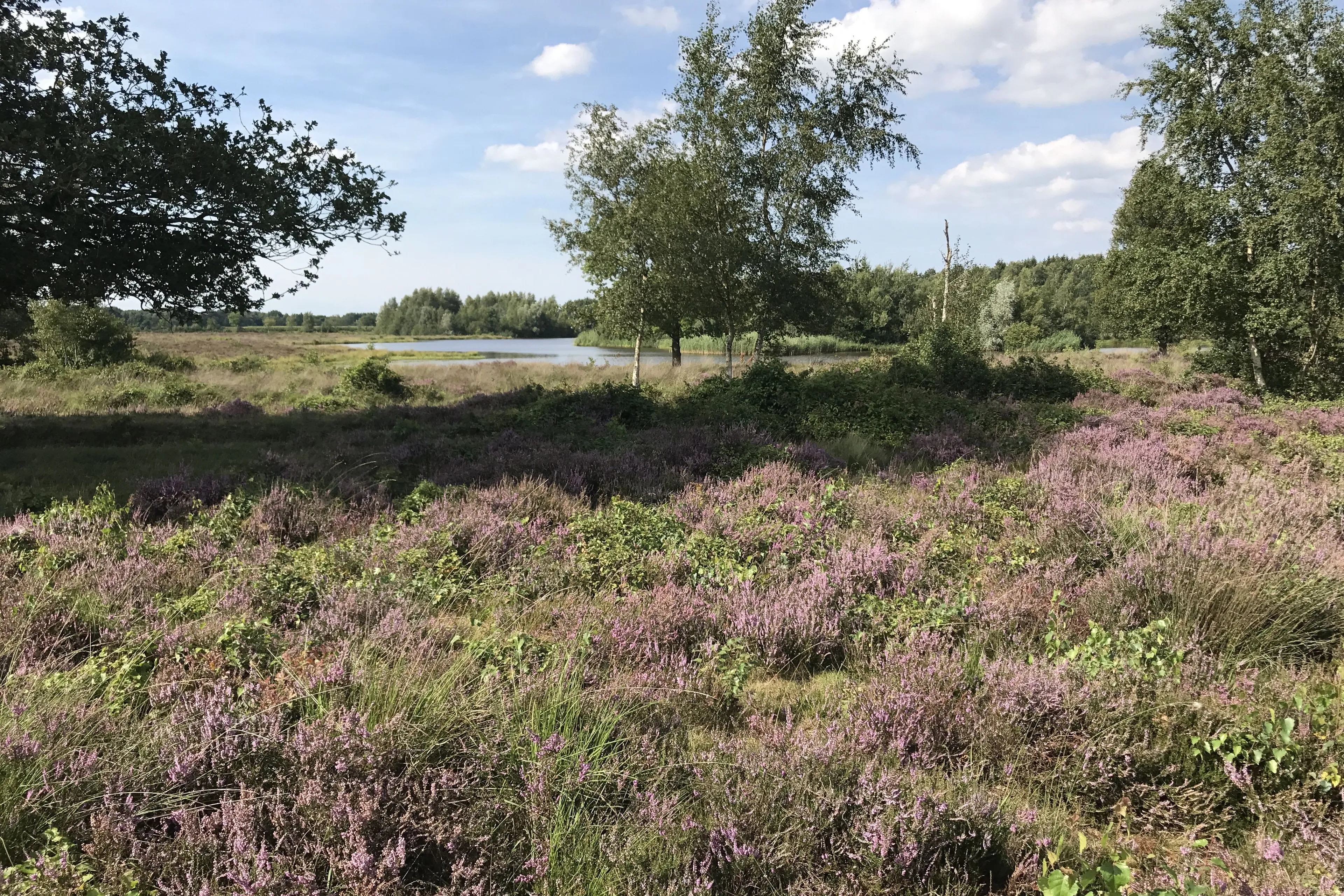 Wandelen van Schakel tot Schakel vanuit Koekange