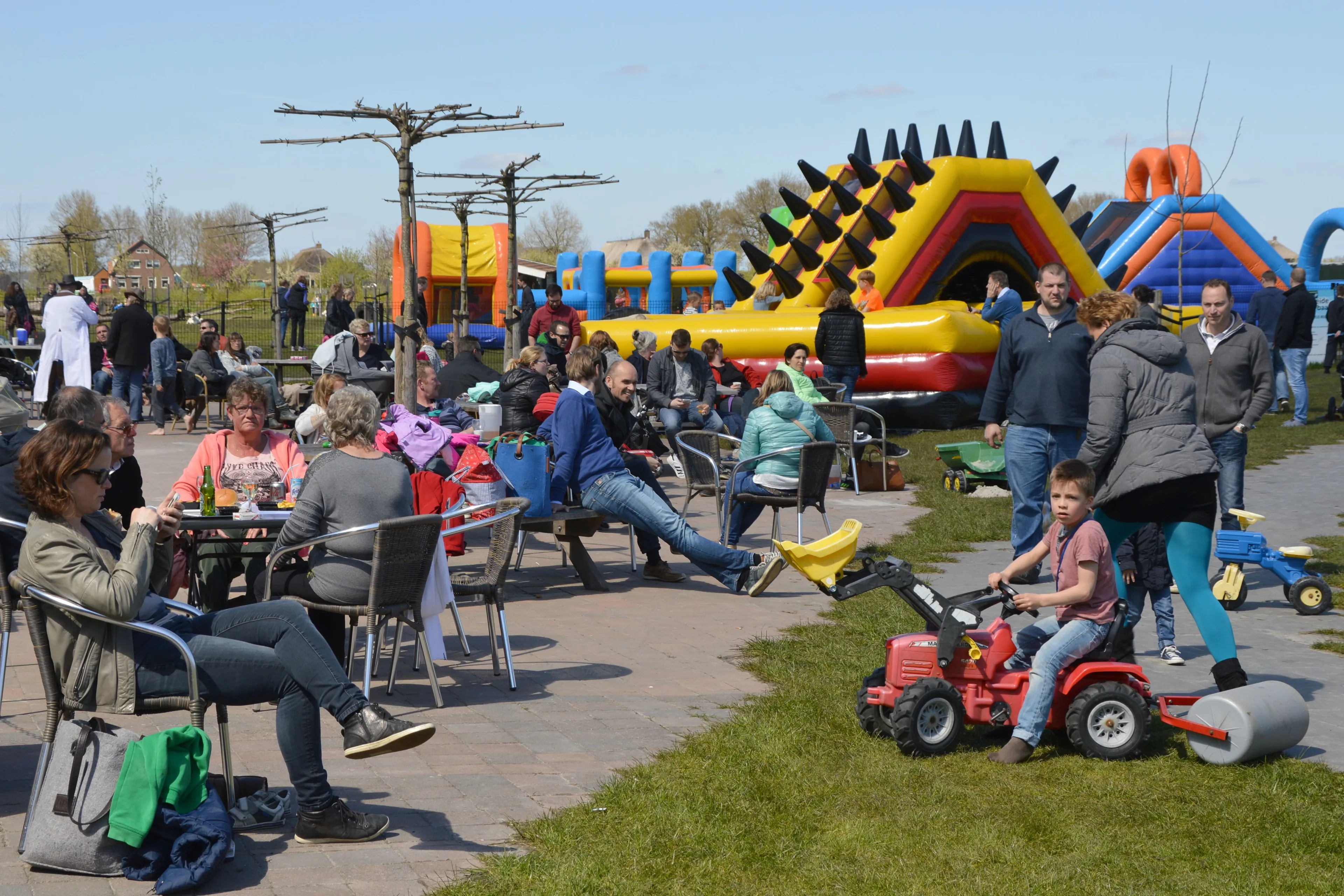 pn28032017 speelboerderij drentse koe2