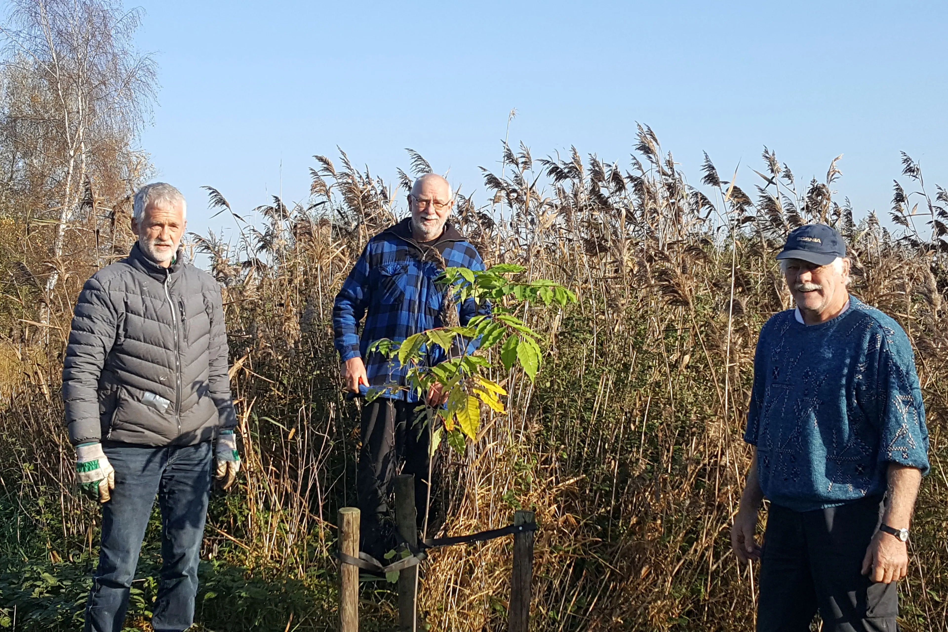 Imkers uit Ruinen bieden bijenboom aan in Ruinerwold