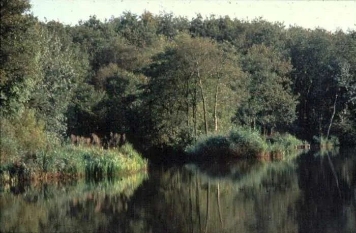 sultansmeer