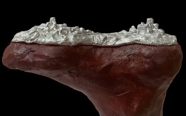 'Dit is kunst' in museum Valse Kunst in Vledder