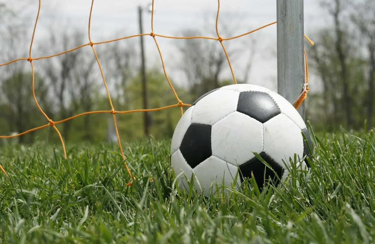 voetbal