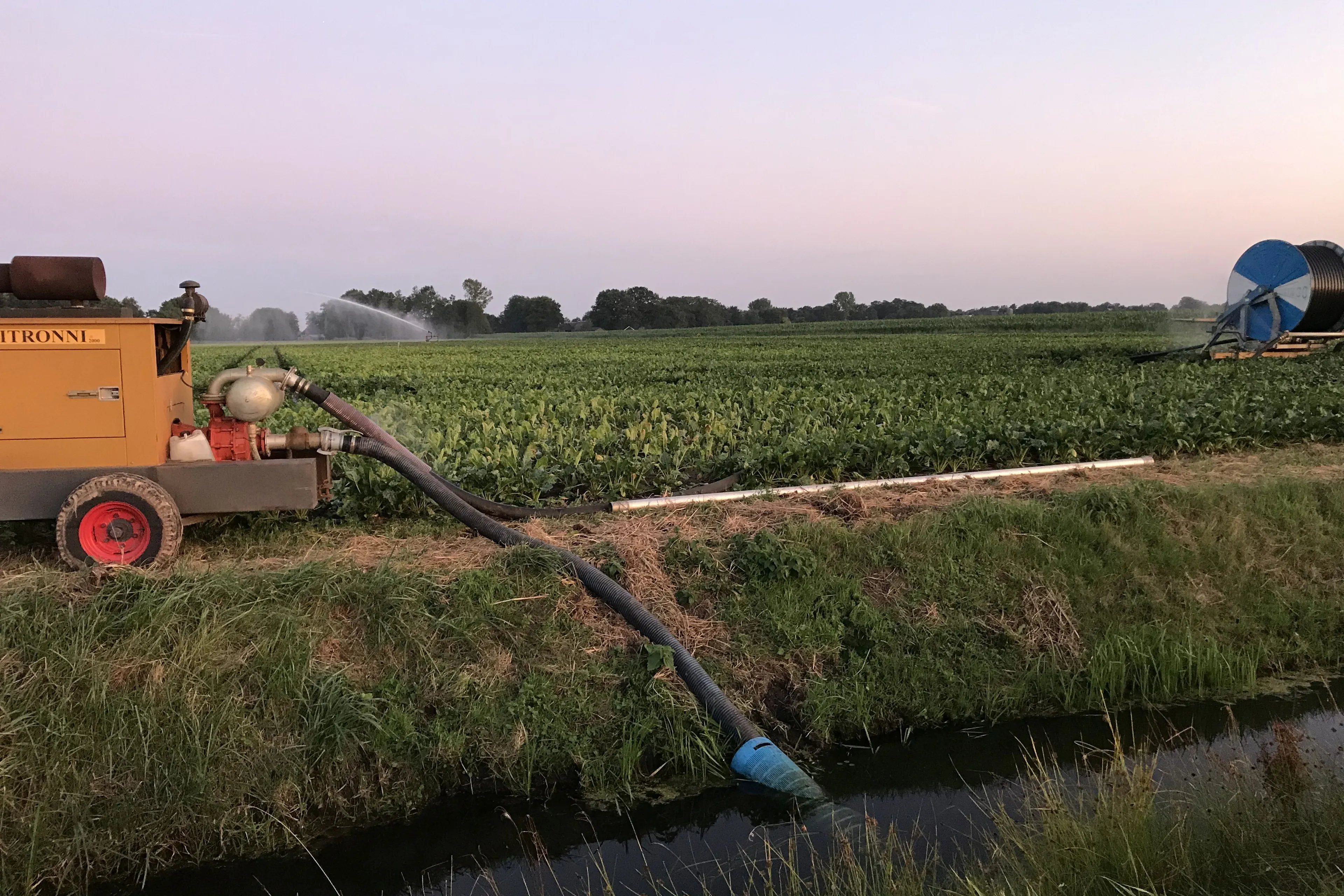 water uit sloot archief