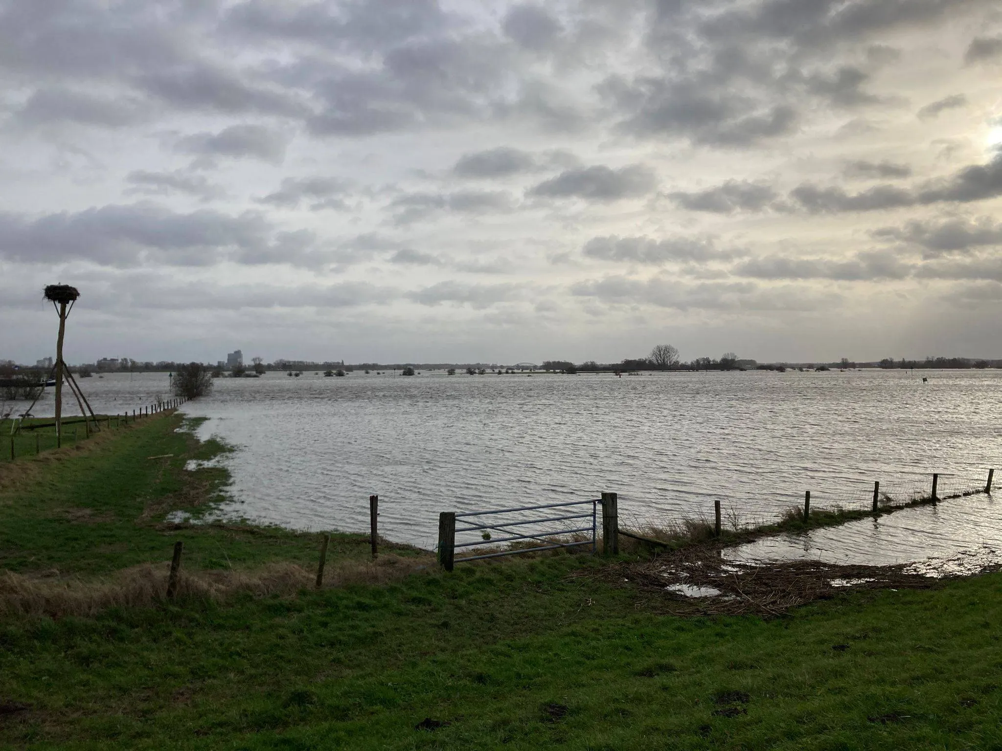 wdod hoog water