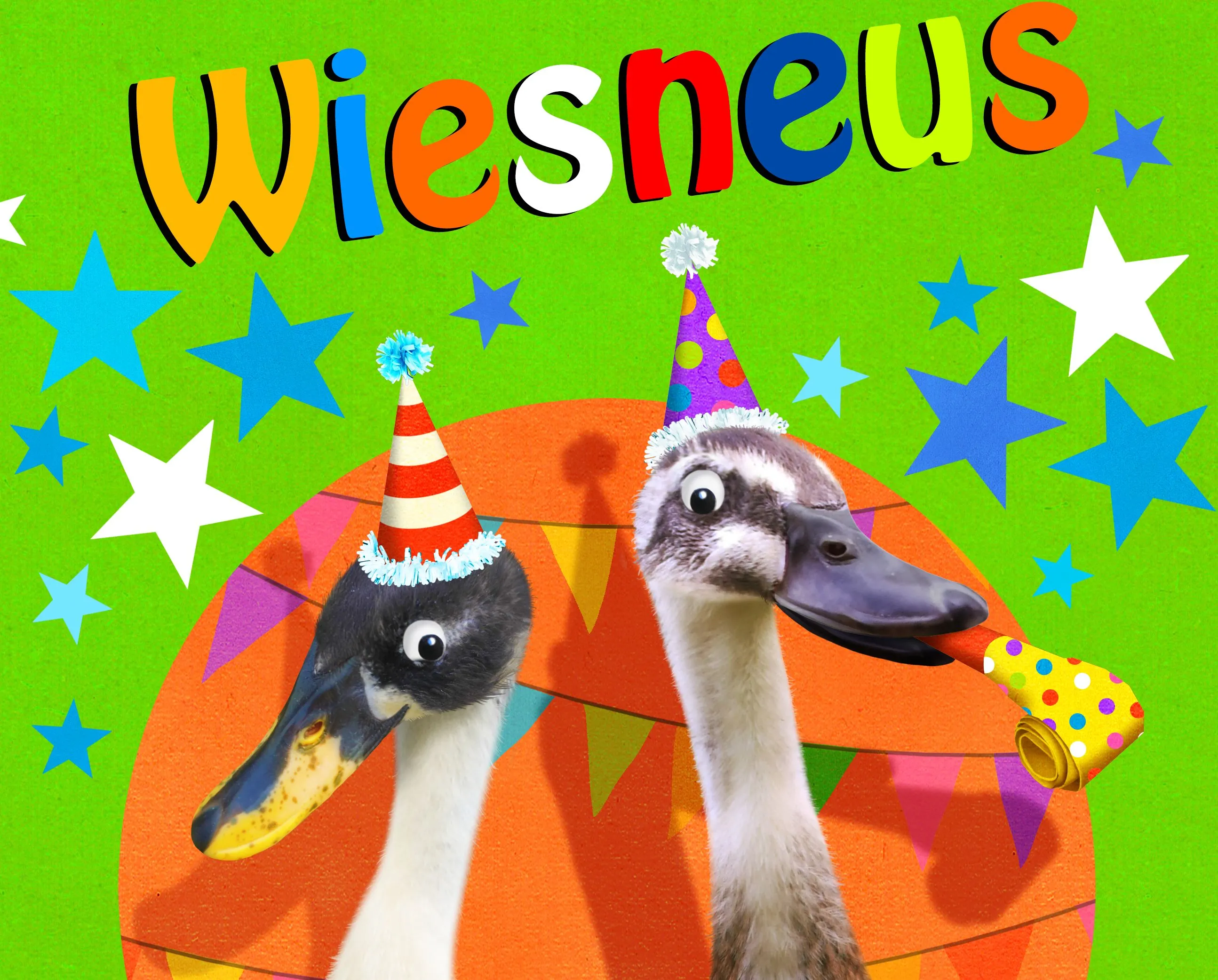 wiesneus2