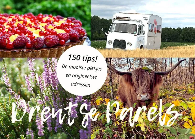 zuidwolde over voorkant drentse parels