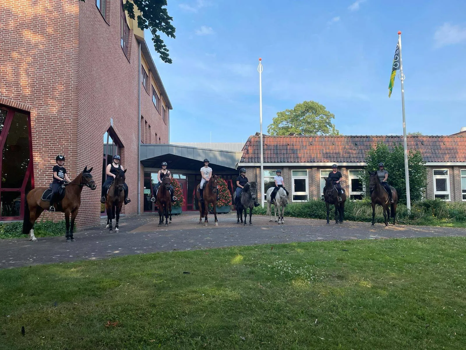 zuidwolde paardenprotest