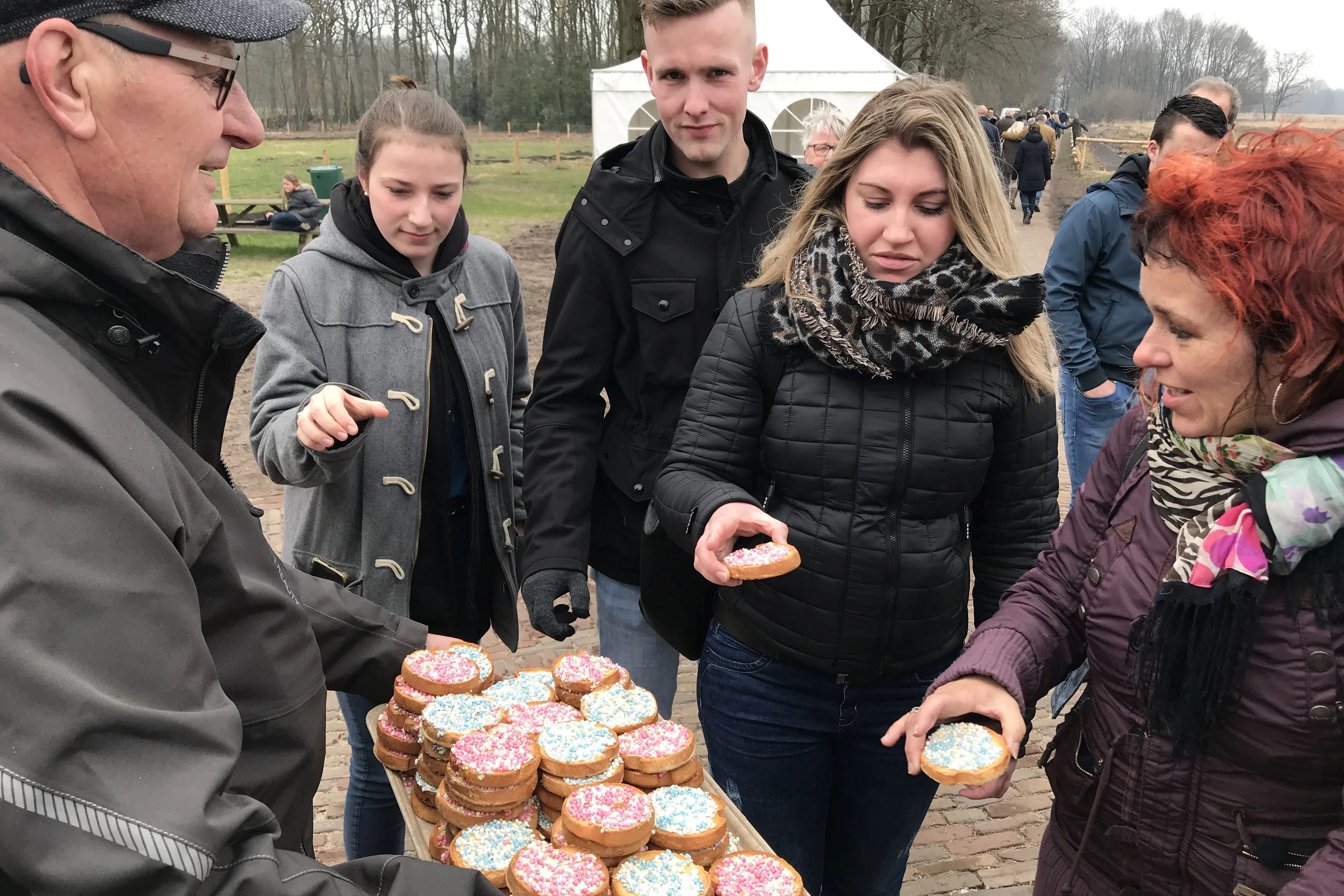 Lammetjesdag in Ruinen, meer dan 350 lammetjes geboren
