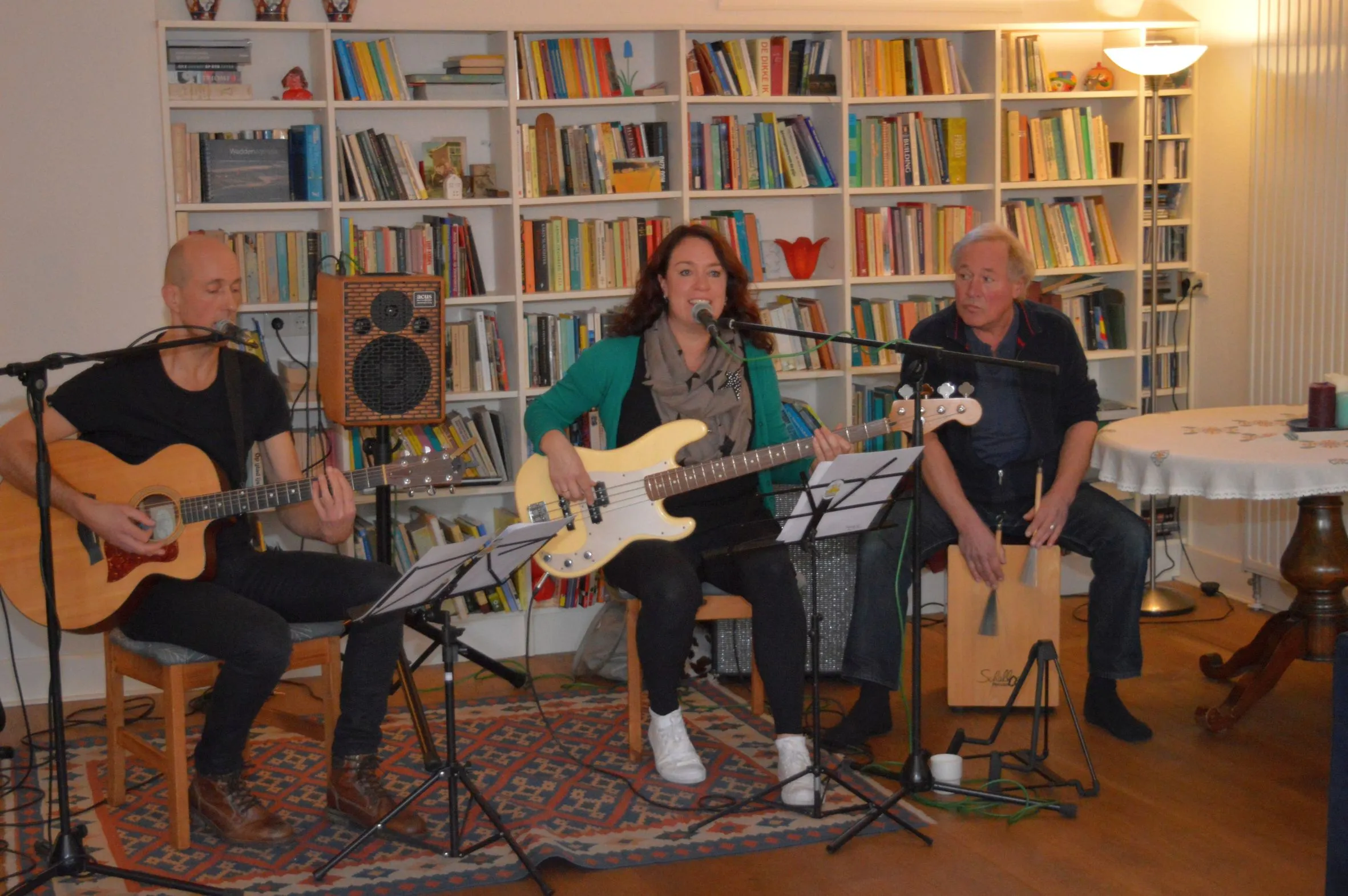 pn18112018 huiskamerfestival zuidwolde12