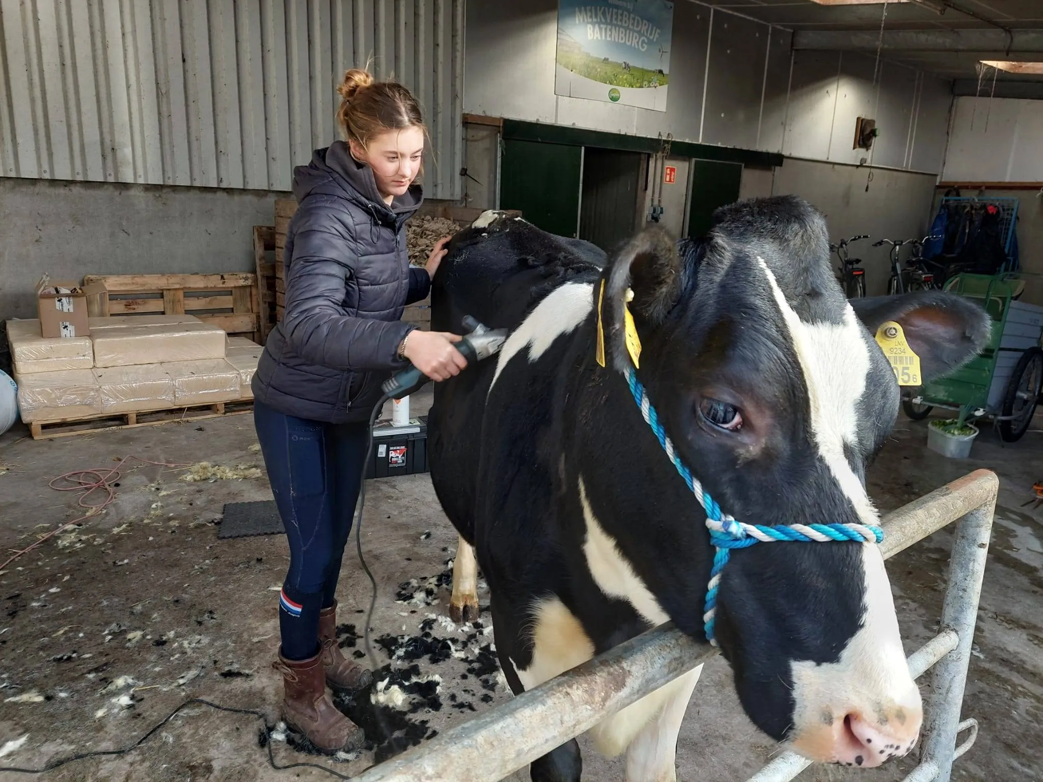 wanneperveen veekeuring rosalie petter