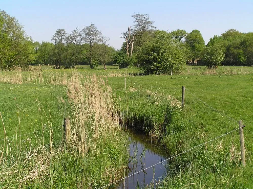 rheebruggen han van hagen