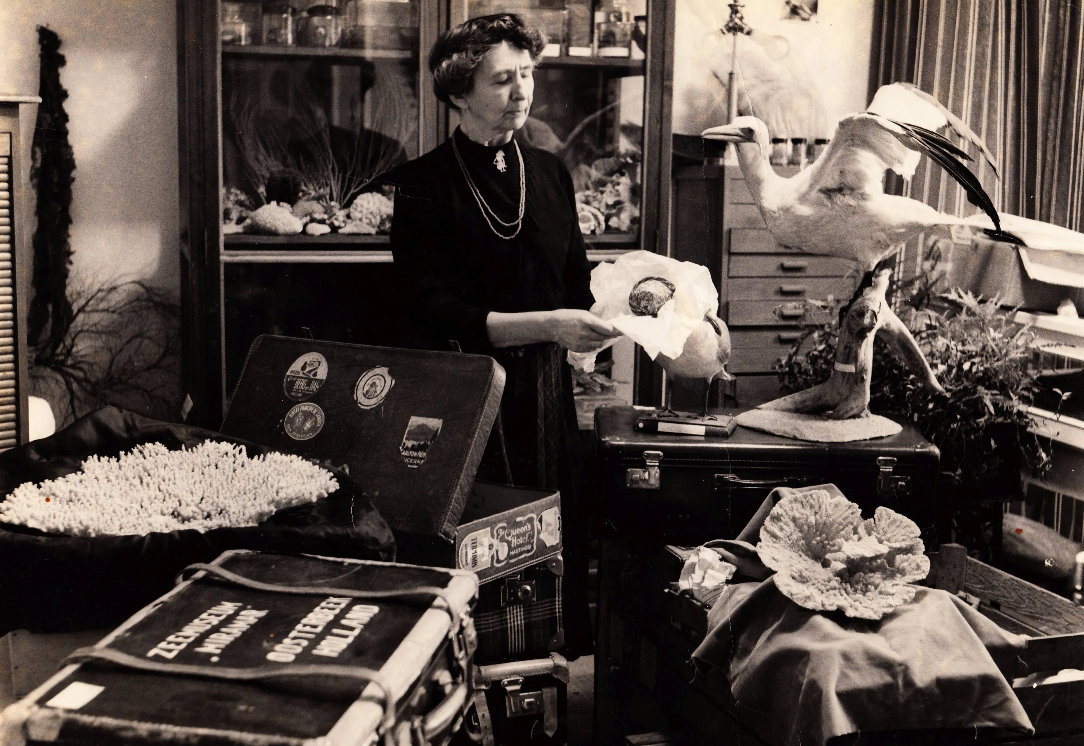 Vledder 22 Warners in Miramar Oosterbeek na haar reis 1963