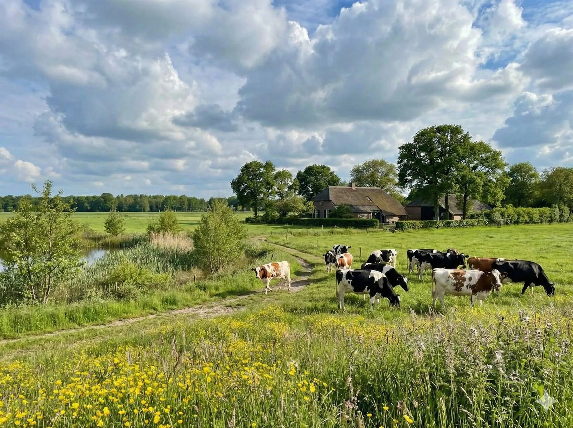 WOL GL PvdA extensieve-landbouw