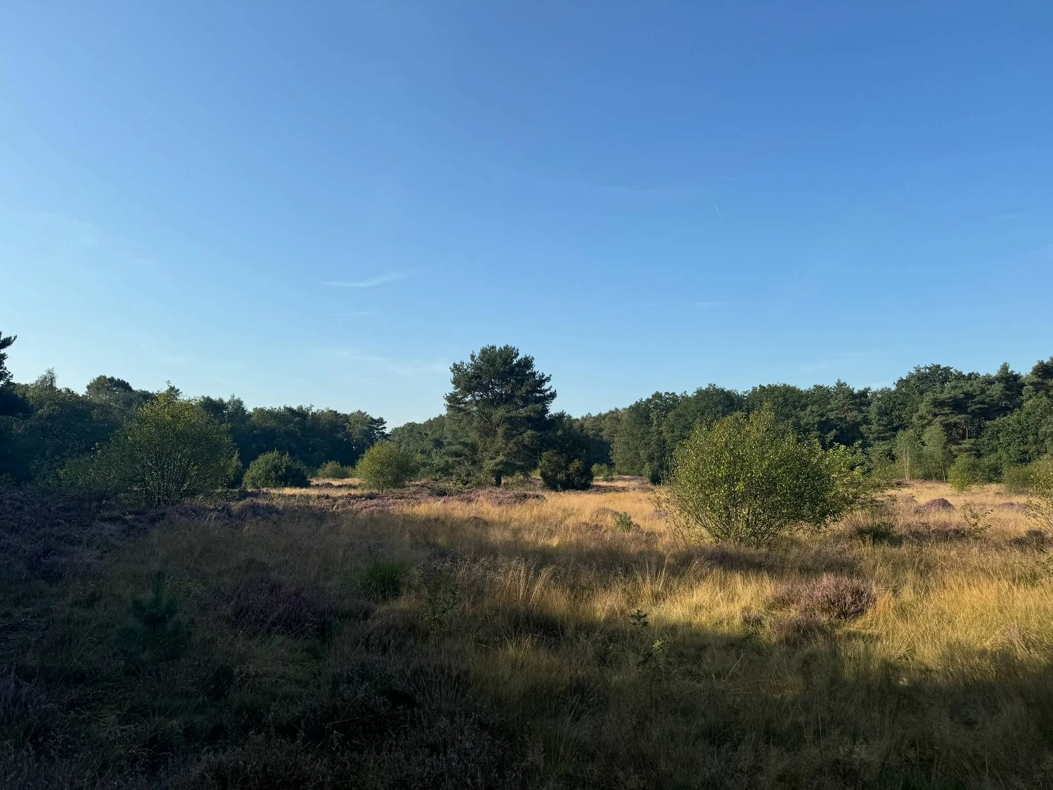 Staphorst natuurt