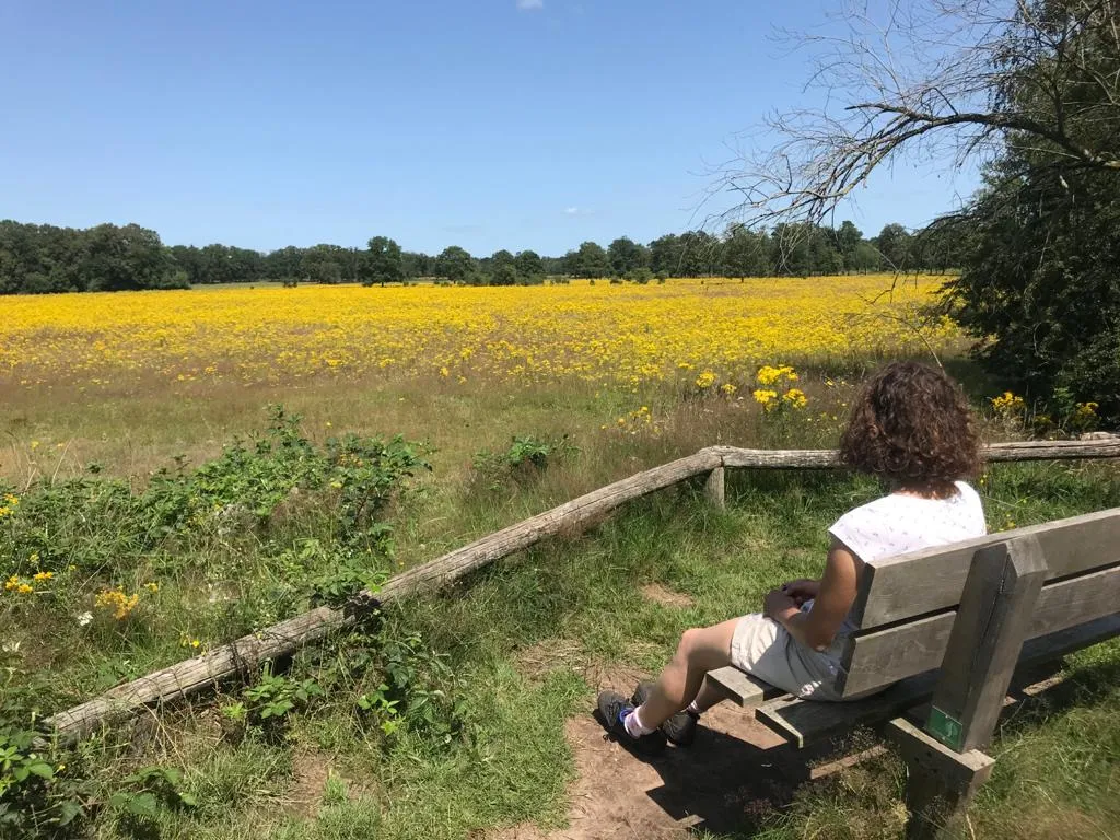 25a90d79 41f6 43c0 9c5d 80f12f01c198