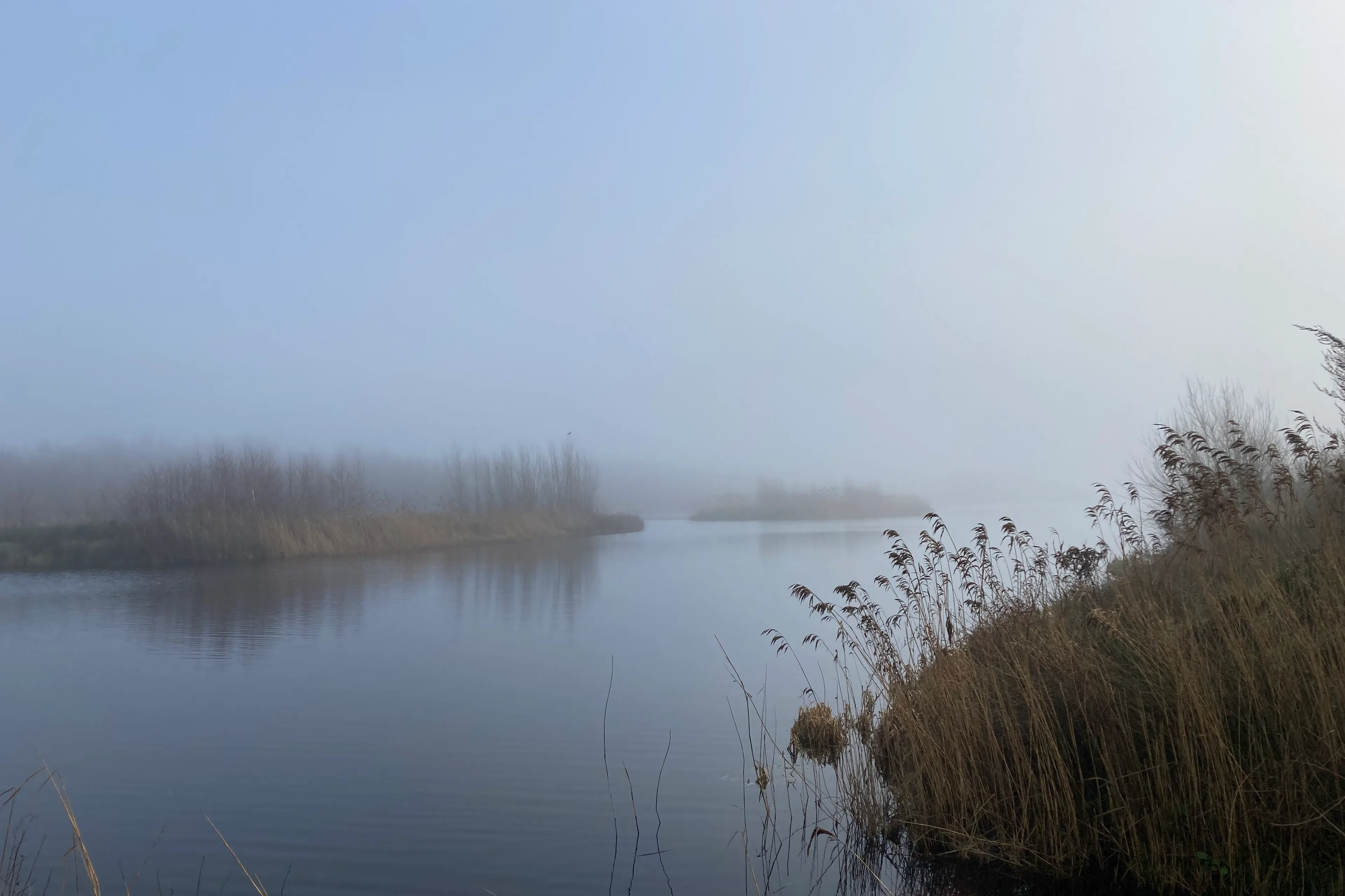 dfm mist img 8205