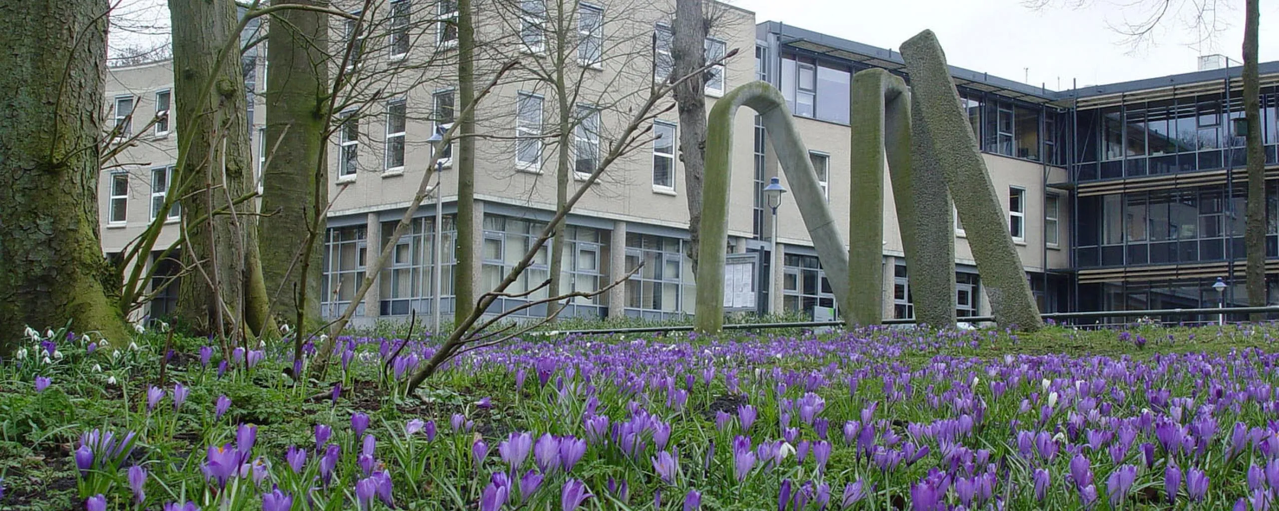 gemeentehuis 0 website defryske marren