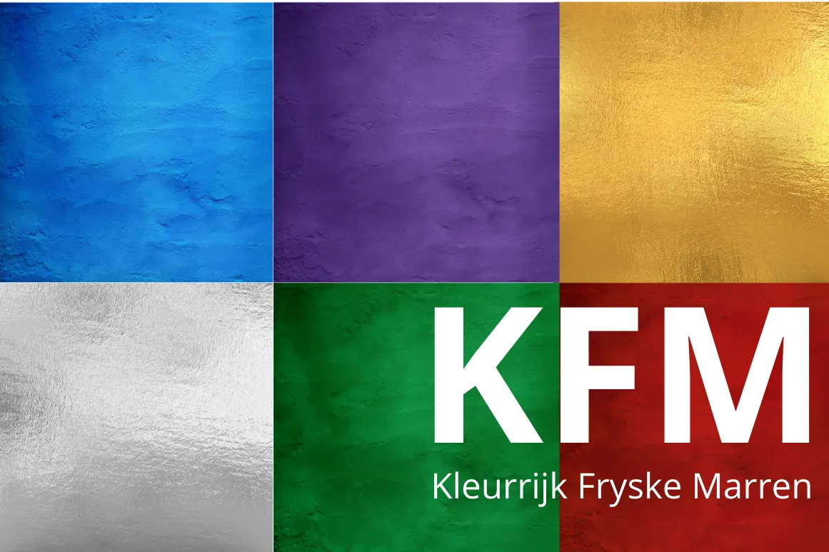 logo kleurrijk fryske marren