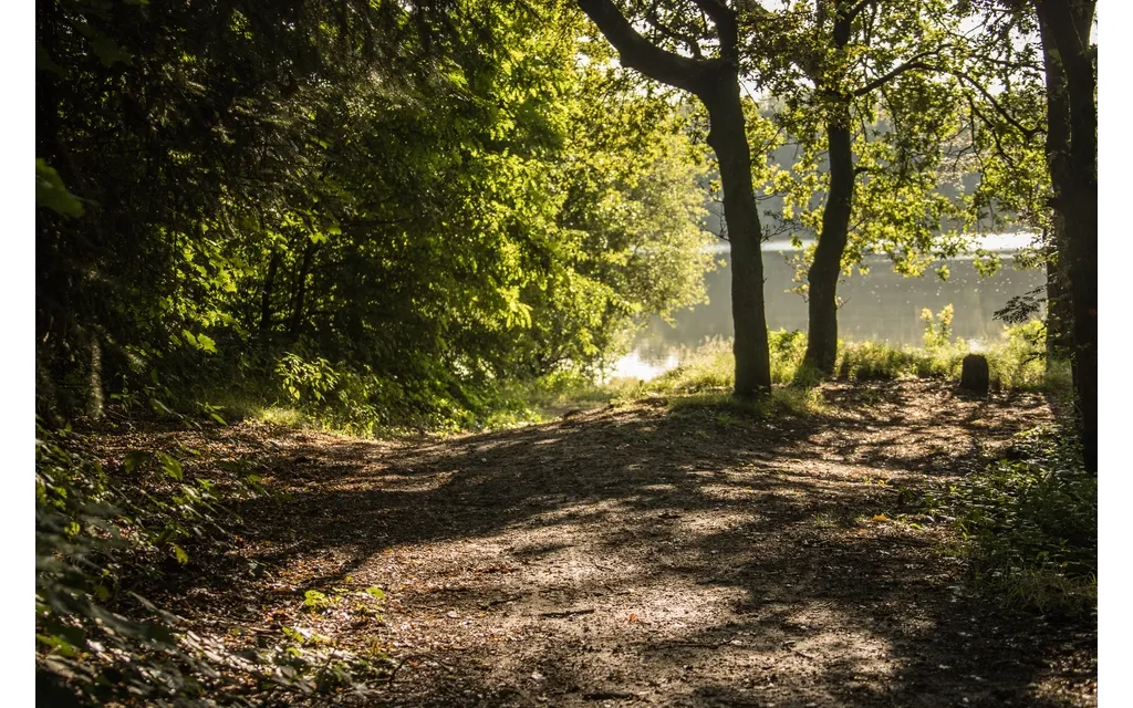 landschap natuur 35 3