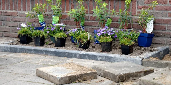 tuin vergroenen