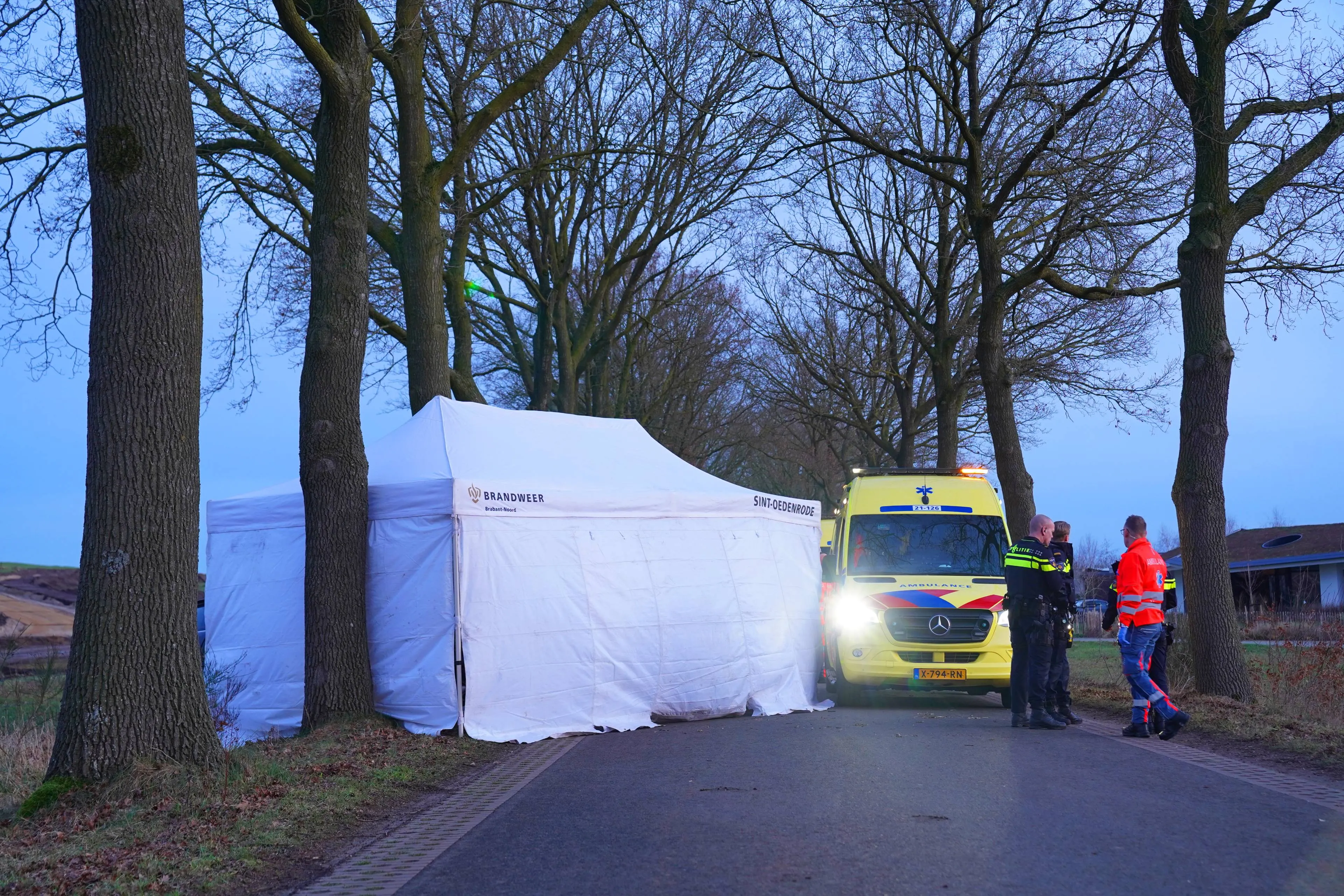 376d2546-4e1b-47a1-b08f-cfe50ee35c46