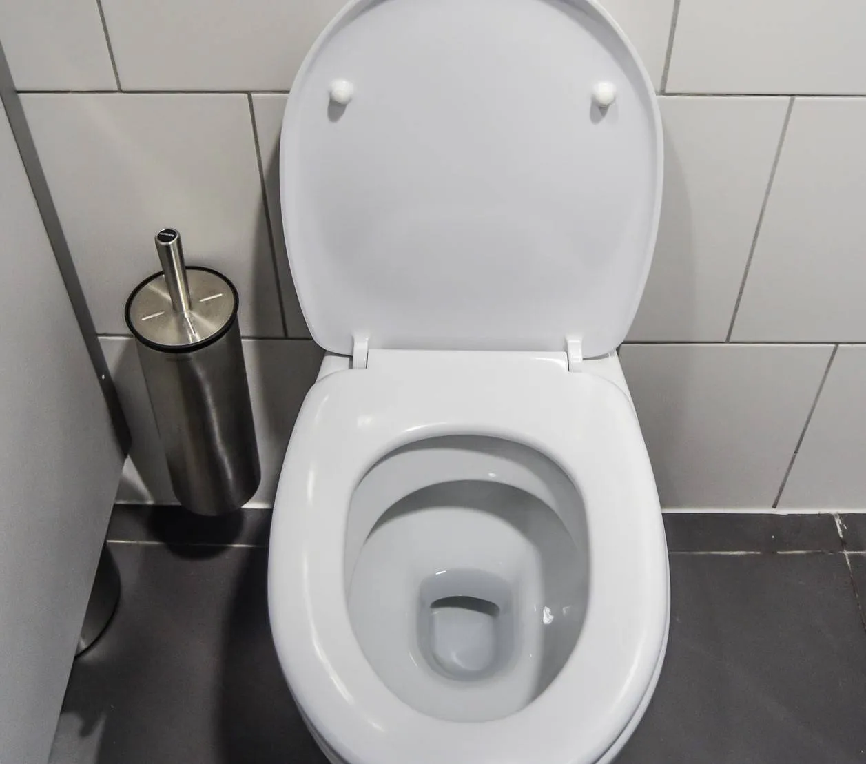 jarmoluk-toilets-265278_1920