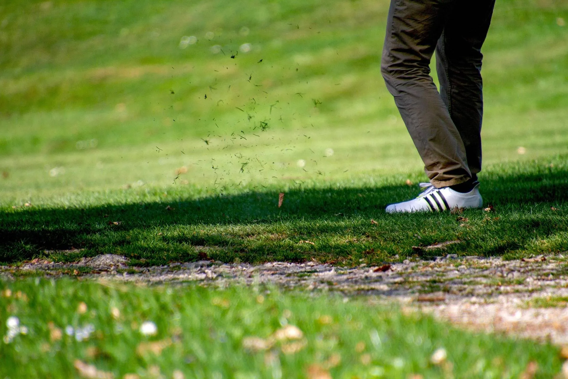 5598375-golf-3345509_1920