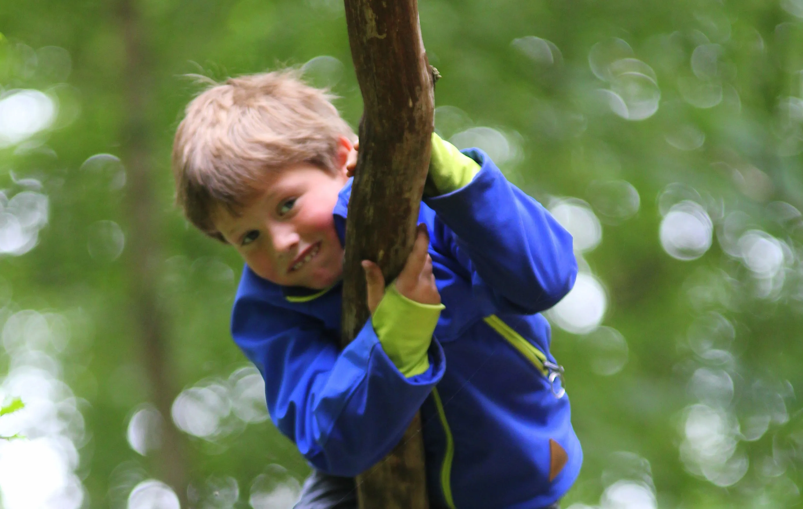 spelen in boom saskia van tongeren