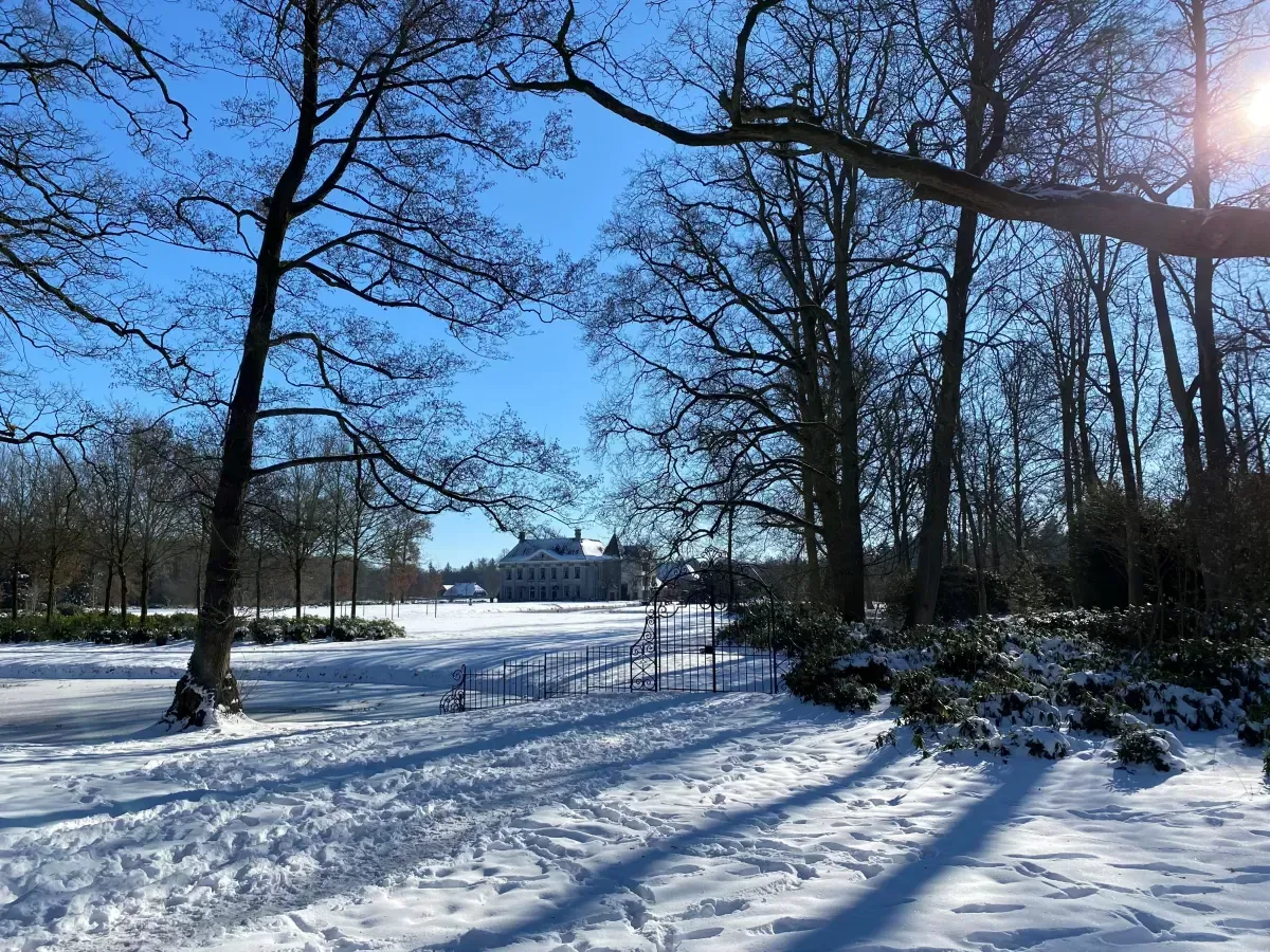 singraven in de sneeuw