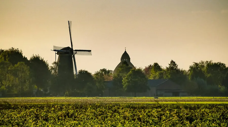 200procentdongenfoto