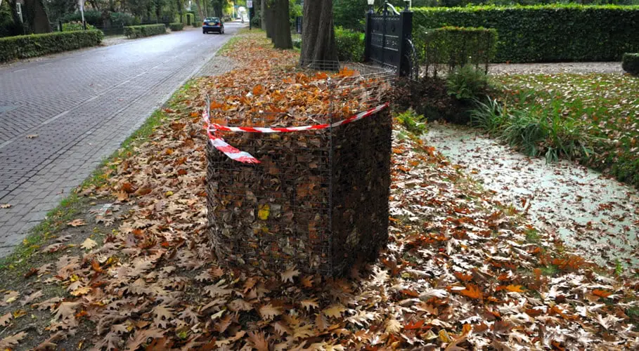 bladkorven1