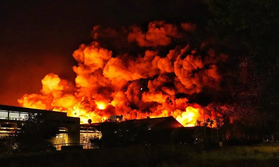 brand1