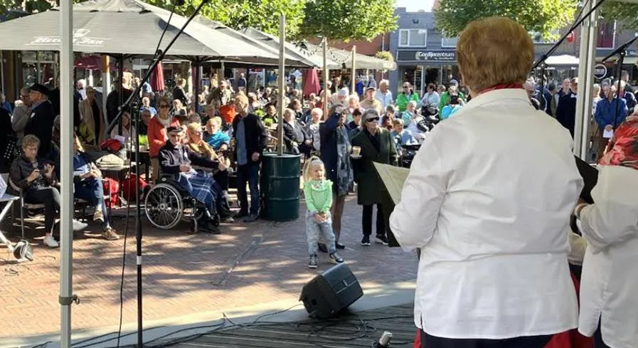 dongenzingt253