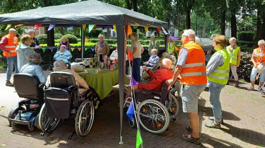 zonnebloem1
