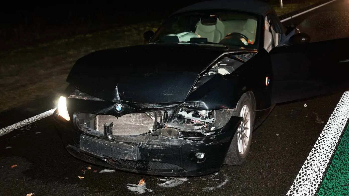 photo_2026-01-16_18-14-07