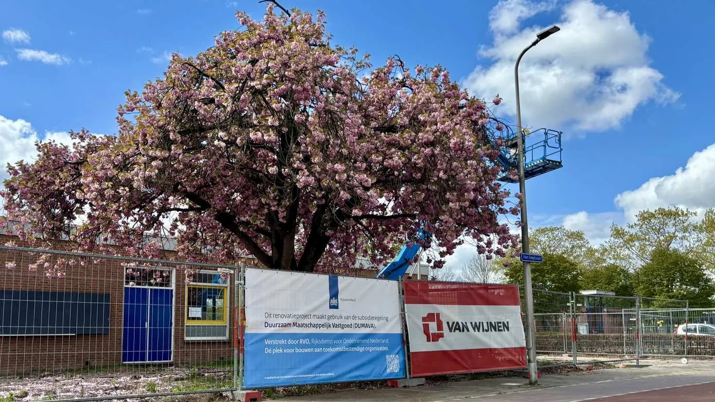 Renovatie Het Palet