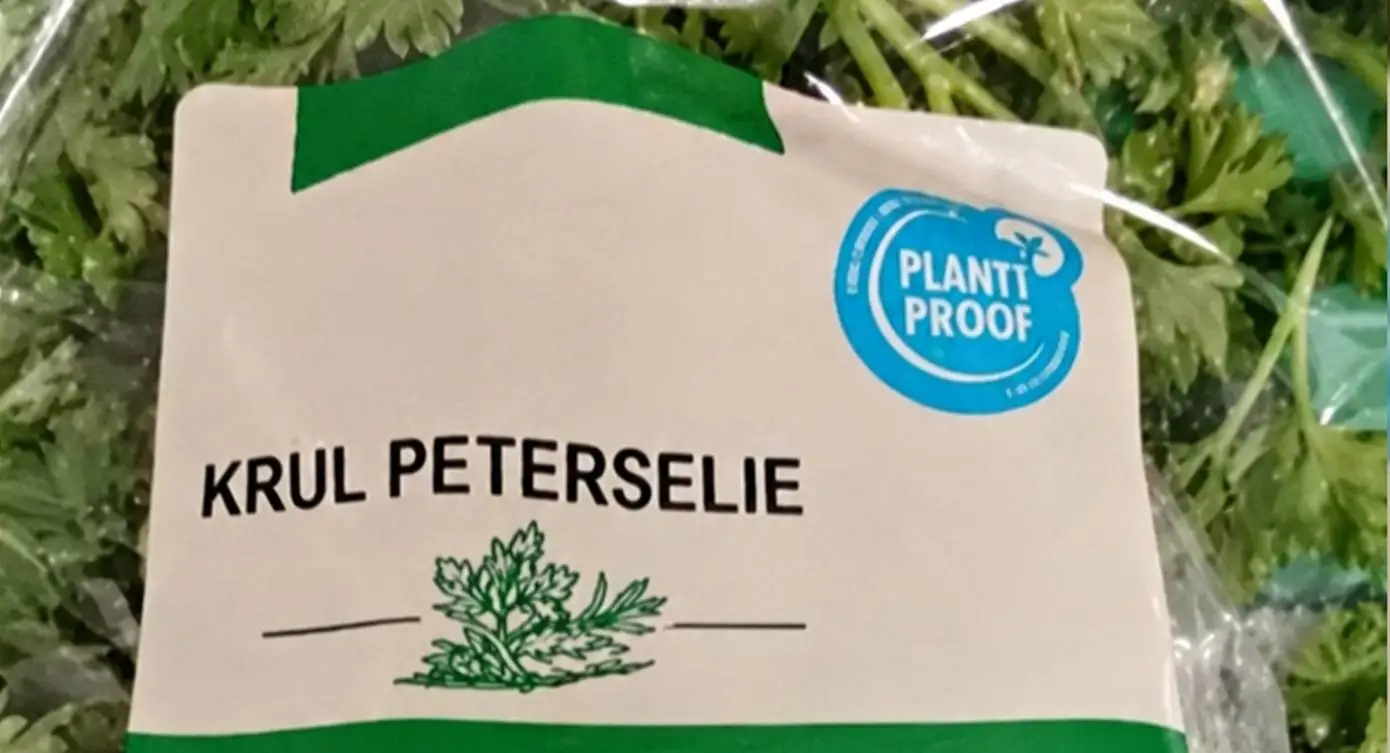 2026-10-16 krul peterselie - nieuw