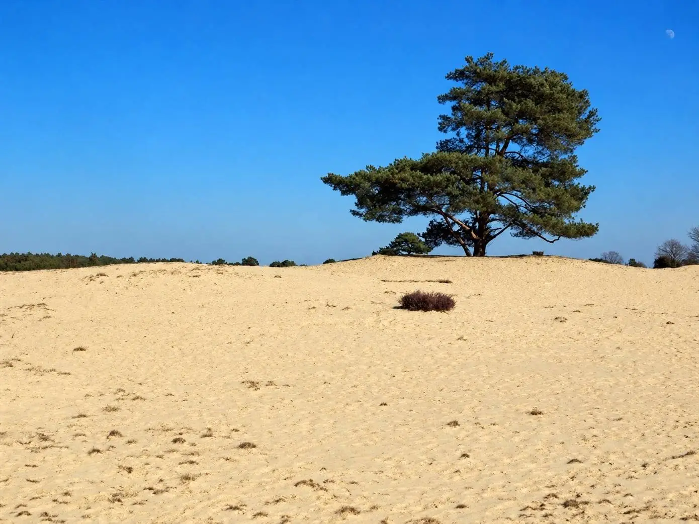 2026-10-30 drouwener zand 1390px