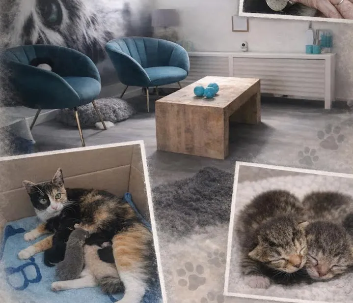 Scherm­afbeelding 2026-03-20 om 10.35.18