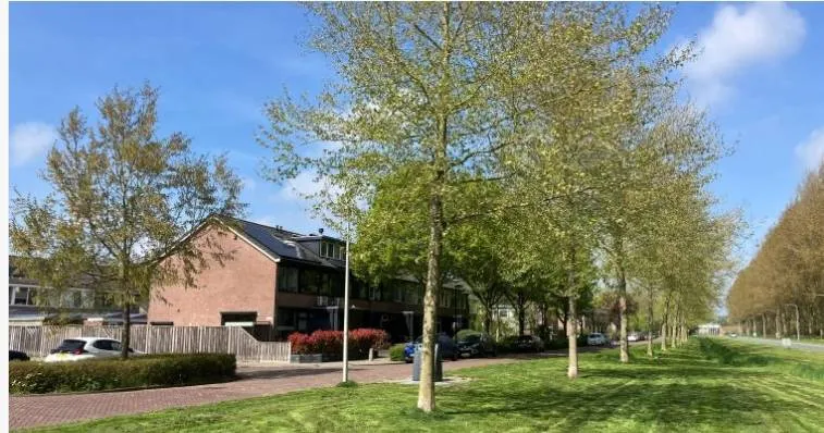 dronten ivm straatverlichting problematiek gem dronten