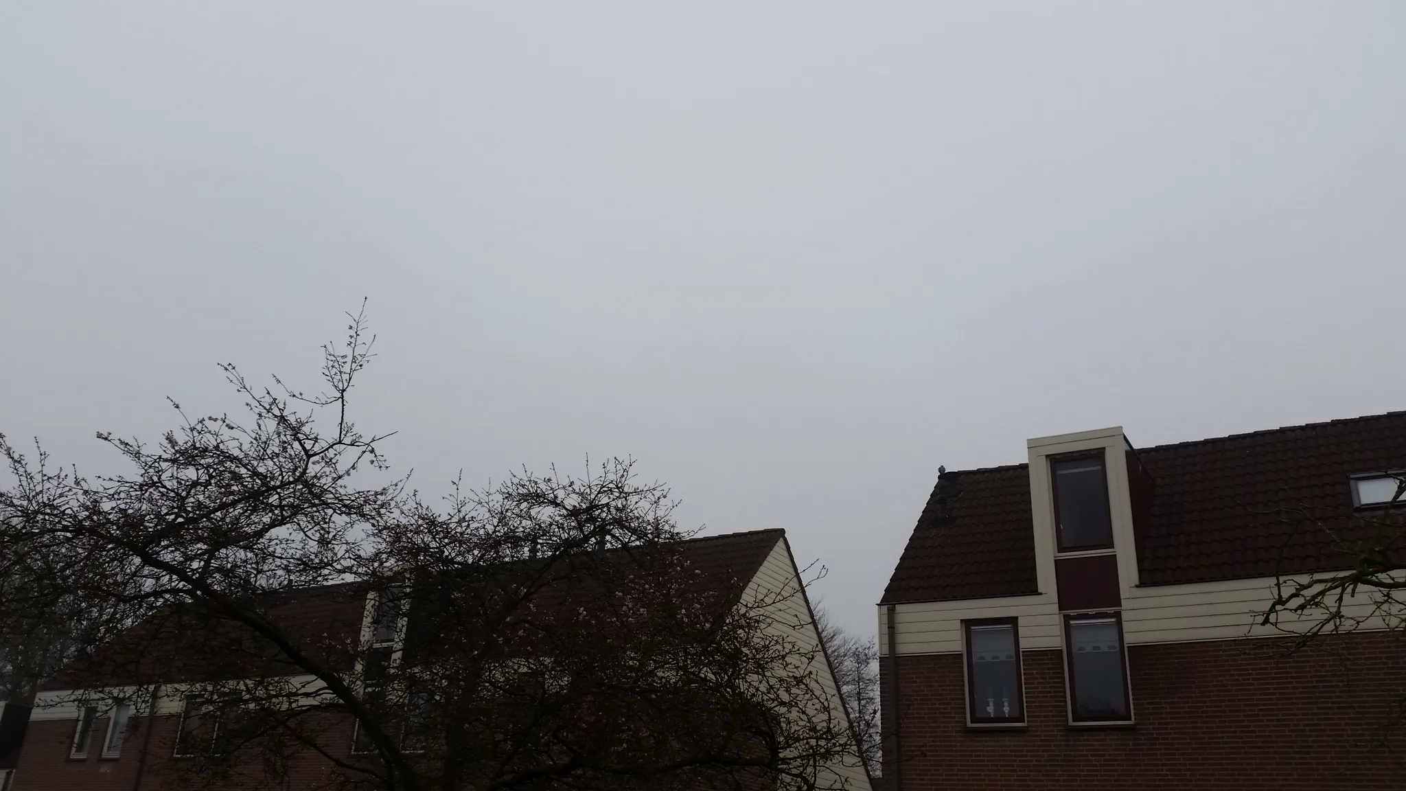 20150320 095003