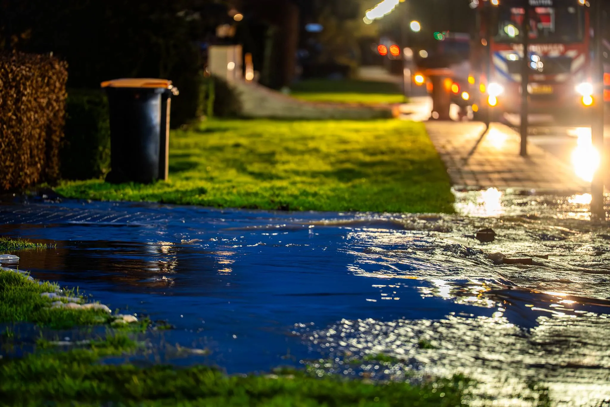 1b29e71f-fd1d-44a0-8fbc-e33642634574