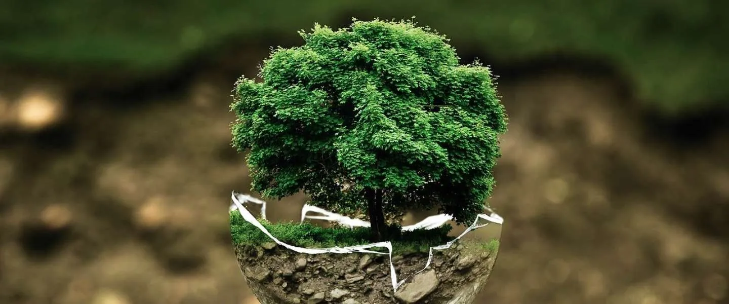 Betalen grote techbedrijven te weinig belasting in ontwikkelingslanden?