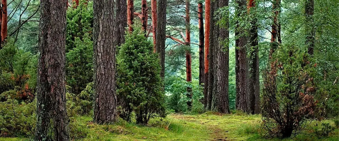 co2 uitstoot shell 1