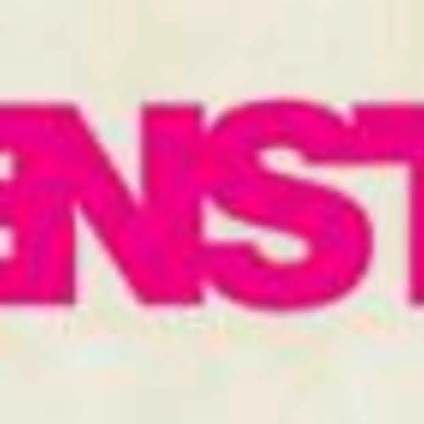 de geenstijl zeitgeist van 2008