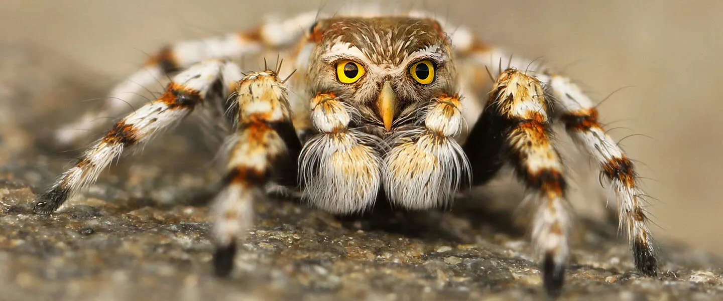 ​Vijf hilarische deepfake Instagram-accounts om te volgen