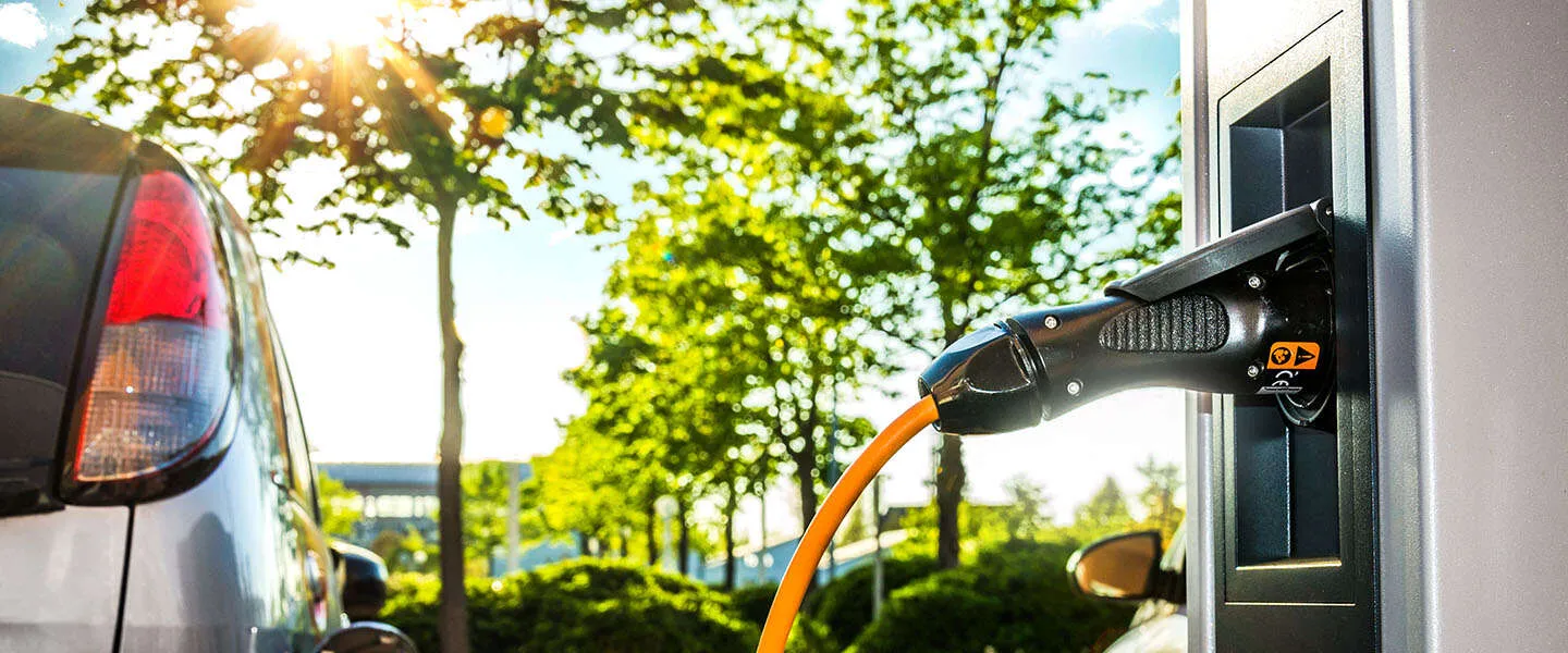 5 belangrijke benodigdheden om duurzaam te kunnen leven