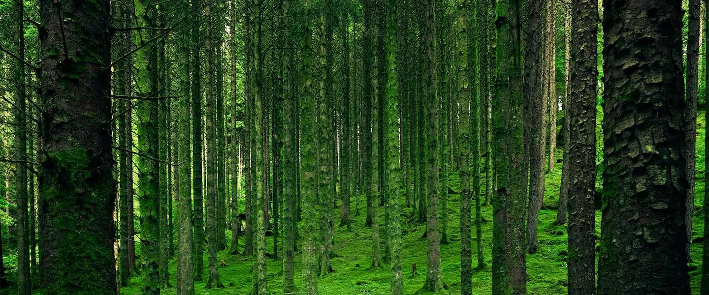 Het is Earth Day! Thema van dit jaar is 'Restore Our Earth'