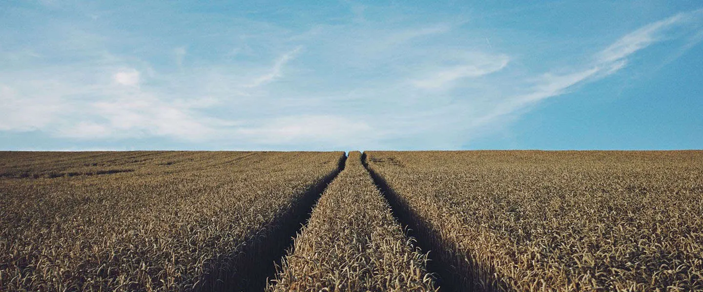 Google, Facebook en Apple denken aan de Dag van de Aarde #EarthDay