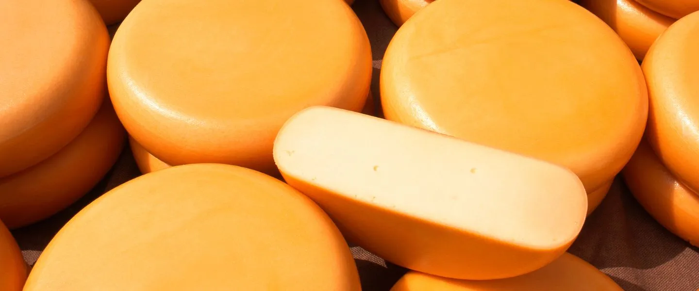 goudse kaas